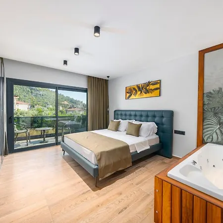 Alavya Oeluedeniz With Heated Pool In Winter Hotel 4*